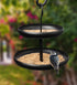 Hanging Metal 2-Tier Bird Feeder, Black